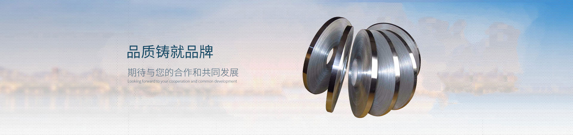 鍍錫鎳帶 鍍錫鎳帶